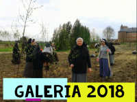 Galeria 2018